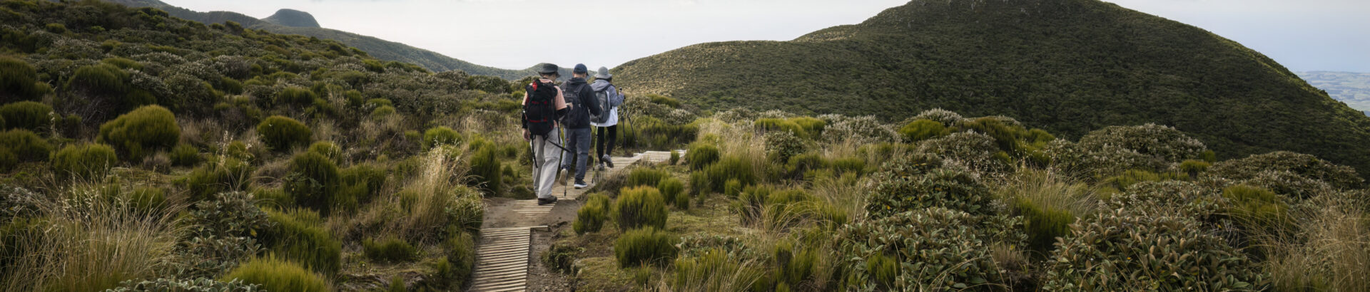 Family hiking in nature—Healthy Weight For Life encourages long-term quality of life, health, and wellbeing improvements.